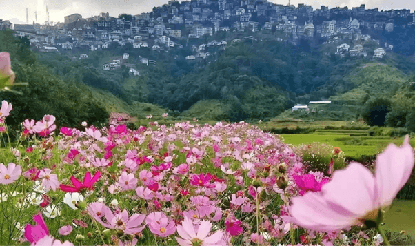 10 must visit places in Mizoram in 3 days. 10 must visit places in Mizoram in 3 days.