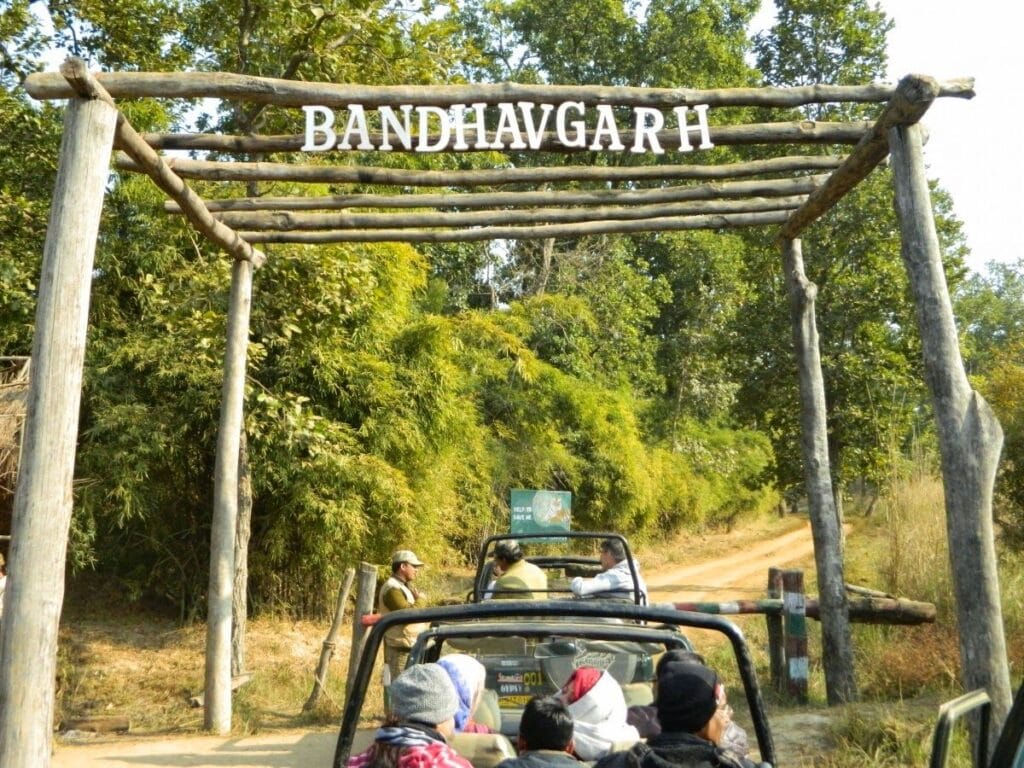 Places to visit in Madhya Pradesh Rare in 2025. Places to visit in Madhya Pradesh Rare in 2025.