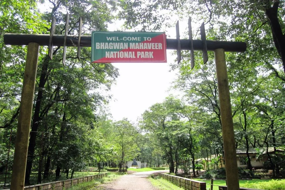 10+ Beautiful Places to Visit in South Goa 10+ Beautiful Places to Visit in South Goa