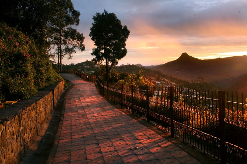 Top Hill Stations in Tamil Nadu: Explore the Best Scenic Getaways in 2025 Top Hill Stations in Tamil Nadu: Explore the Best Scenic Getaways in 2025