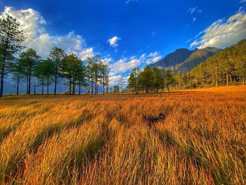 Hidden Gems of India: Your Ultimate Guide to undiscovered paradise In 2025. Hidden Gems of India: Your Ultimate Guide to undiscovered paradise In 2025.