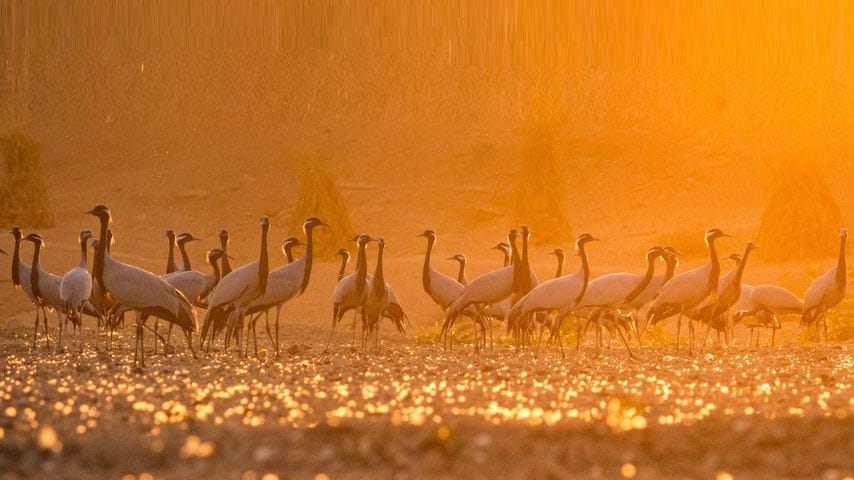 Hidden Gems of India: Your Ultimate Guide to undiscovered paradise In 2025. Hidden Gems of India: Your Ultimate Guide to undiscovered paradise In 2025.