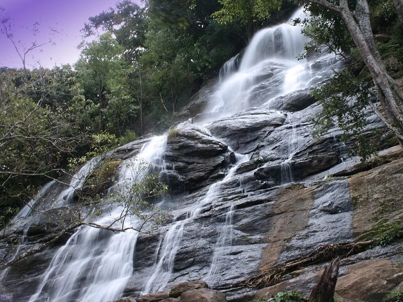 Top Hill Stations in Tamil Nadu: Explore the Best Scenic Getaways in 2025 Top Hill Stations in Tamil Nadu: Explore the Best Scenic Getaways in 2025