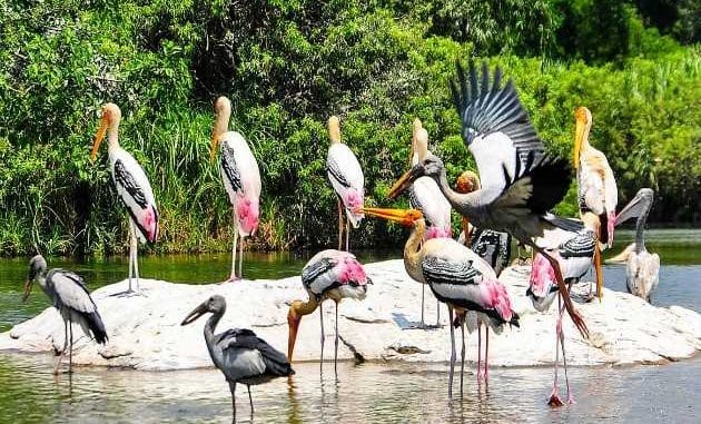 Top Travel Destinations in Kerala: A Road Map to God's Own Country (2025) Top Travel Destinations in Kerala: A Road Map to God's Own Country (2025)