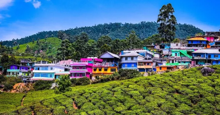 Top Travel Destinations in Kerala: A Road Map to God's Own Country (2025) Top Travel Destinations in Kerala