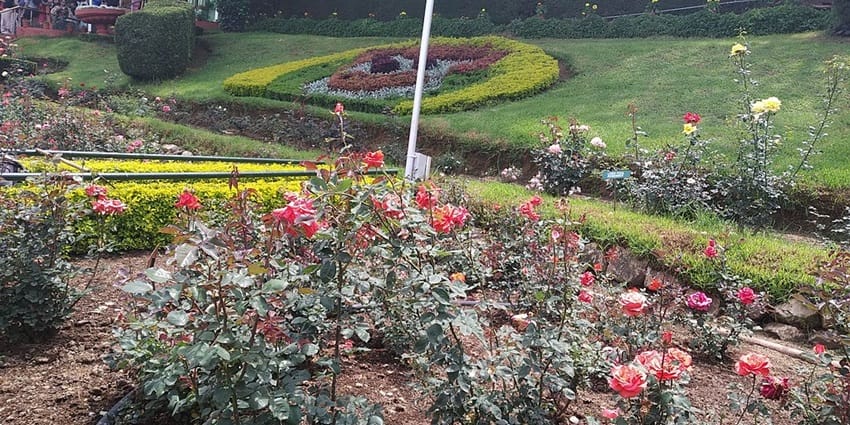 Top Hill Stations in Tamil Nadu: Explore the Best Scenic Getaways in 2025 Top Hill Stations in Tamil Nadu: Explore the Best Scenic Getaways in 2025