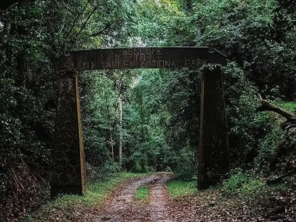 Top Travel Destinations in Kerala: A Road Map to God's Own Country (2025) Top Travel Destinations in Kerala: A Road Map to God's Own Country (2025)