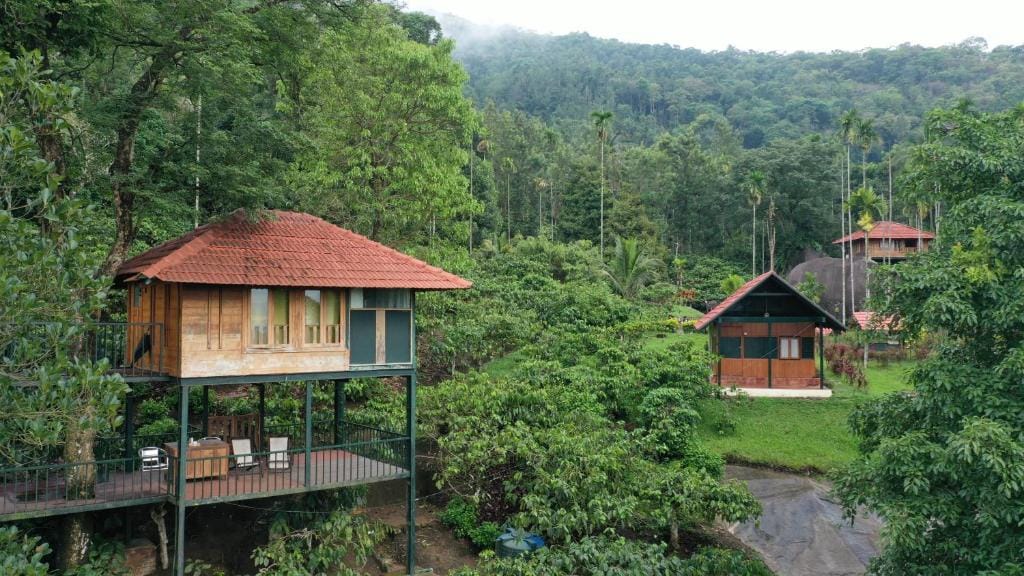Top Travel Destinations in Kerala: A Road Map to God's Own Country (2025) Top Travel Destinations in Kerala: A Road Map to God's Own Country (2025)