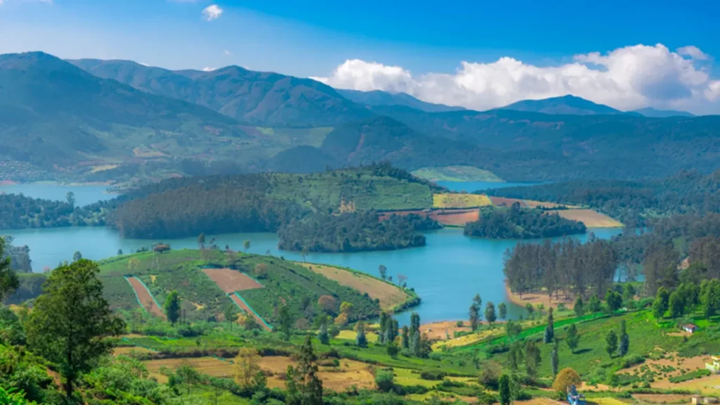 Top Hill Stations in Tamil Nadu: Explore the Best Scenic Getaways in 2025 Top Hill Stations in Tamil Nadu