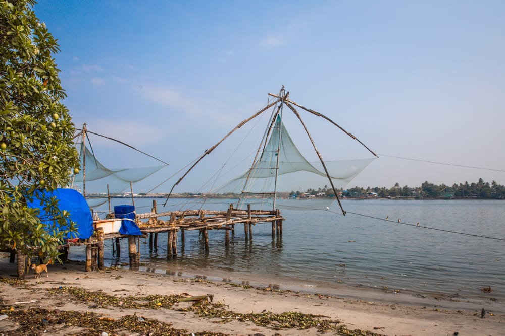 Top Travel Destinations in Kerala: A Road Map to God's Own Country (2025) Top Travel Destinations in Kerala: A Road Map to God's Own Country (2025)