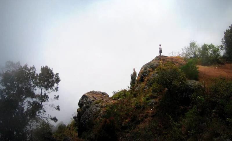 Top Hill Stations in Tamil Nadu: Explore the Best Scenic Getaways in 2025 Top Hill Stations in Tamil Nadu: Explore the Best Scenic Getaways in 2025