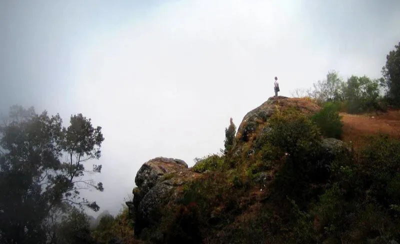 Top Hill Stations in Tamil Nadu: Explore the Best Scenic Getaways in 2025 Top Hill Stations in Tamil Nadu: Explore the Best Scenic Getaways in 2025