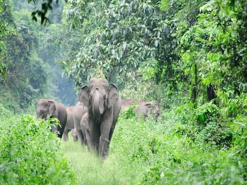 Top Hill Stations in Tamil Nadu: Explore the Best Scenic Getaways in 2025 Top Hill Stations in Tamil Nadu: Explore the Best Scenic Getaways in 2025