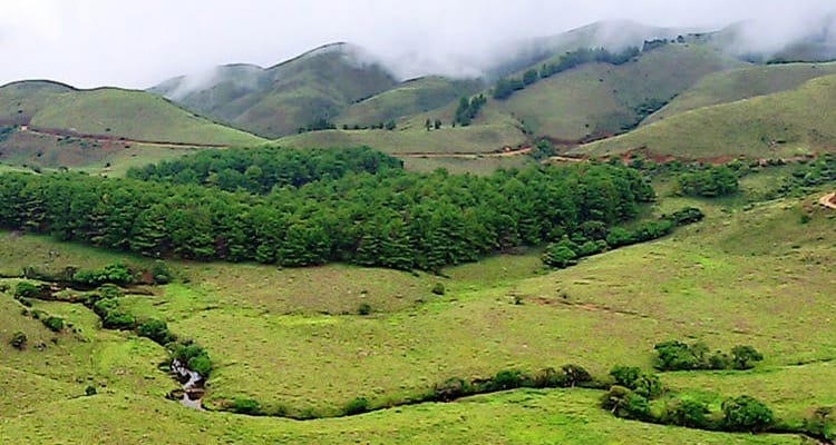 Top Hill Stations in Tamil Nadu: Explore the Best Scenic Getaways in 2025 Top Hill Stations in Tamil Nadu: Explore the Best Scenic Getaways in 2025