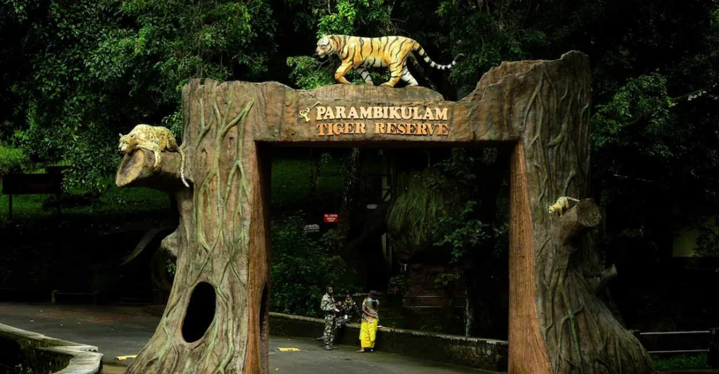 Top Travel Destinations in Kerala: A Road Map to God's Own Country (2025) Top Travel Destinations in Kerala: A Road Map to God's Own Country (2025)