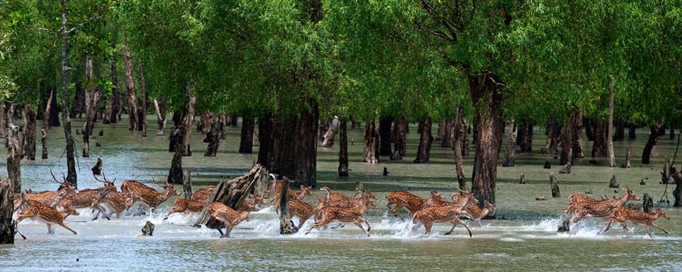 Hidden Gems of India: Your Ultimate Guide to undiscovered paradise In 2025. Hidden Gems of India: Your Ultimate Guide to undiscovered paradise In 2025.