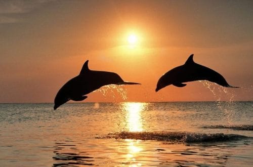 22 Travel Destinations of Maharashtra Rare you must visit in 2025. 22 Travel Destinations of Maharashtra Rare you must visit in 2025.