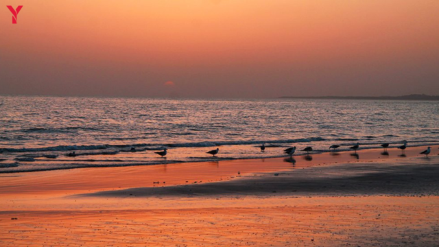 10 Beautiful Travel Destinations of Gujarat in 2025 – A Complete Travel Guide