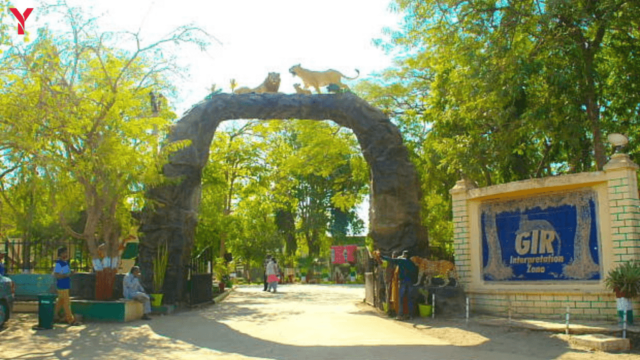 10 Beautiful Travel Destinations of Gujarat in 2025 – A Complete Travel Guide