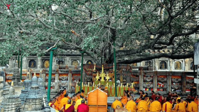 Top 10 Travel Destinations of Bihar in 2025: A City-by-City Guide to Must-Visit Rare Places