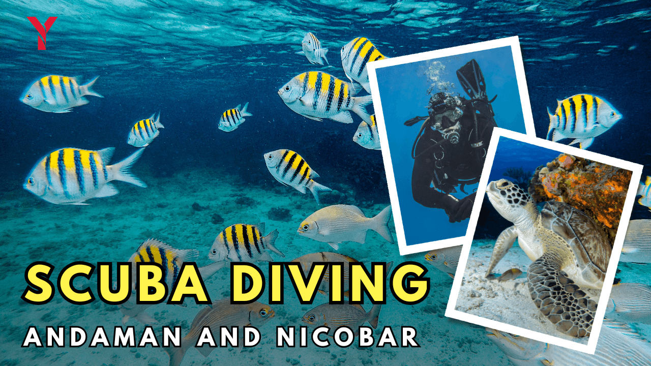 Top 5 Tourist Places in India 