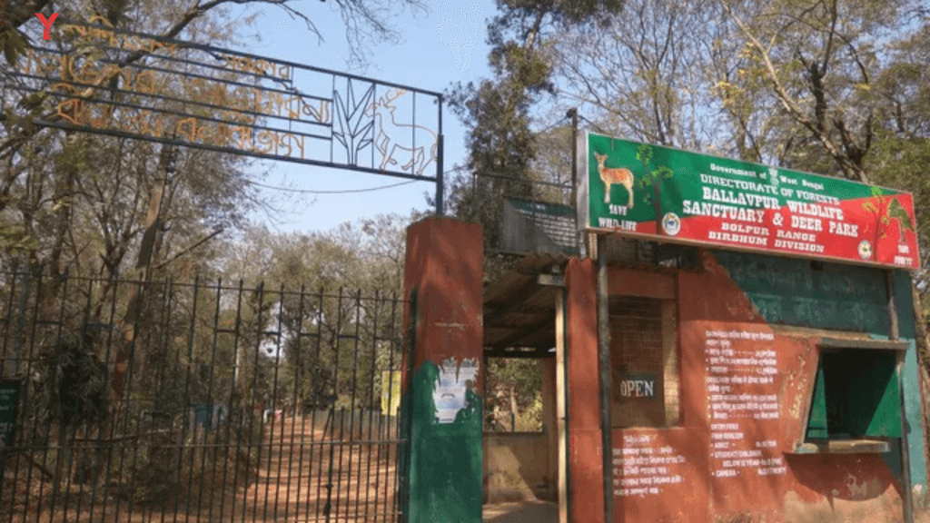 Top Travel Destinations of West Bengal in 2025: Exclusive 5 Key Cities & Their Must-Visit Attractions