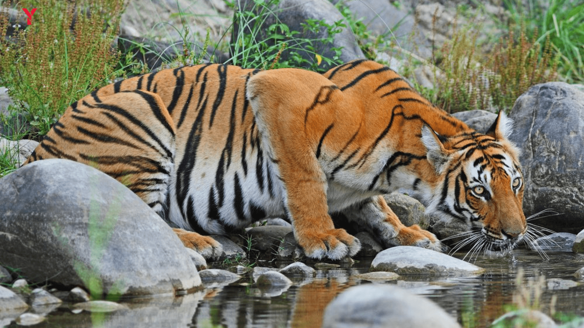 Top Travel Destinations of West Bengal in 2025: Exclusive 5 Key Cities & Their Must-Visit Attractions