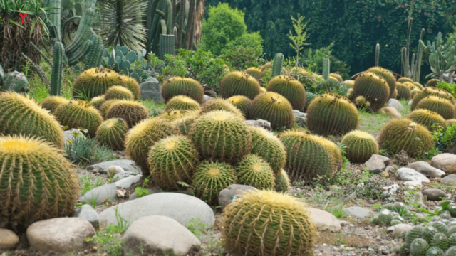 Exclusive Top Travel Destinations of Haryana in 2025