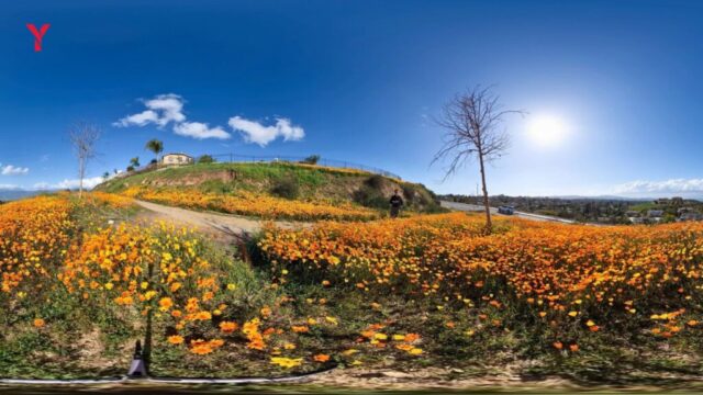 Weekend Trips from Pune Under 3000 – Complete 2026 Guide